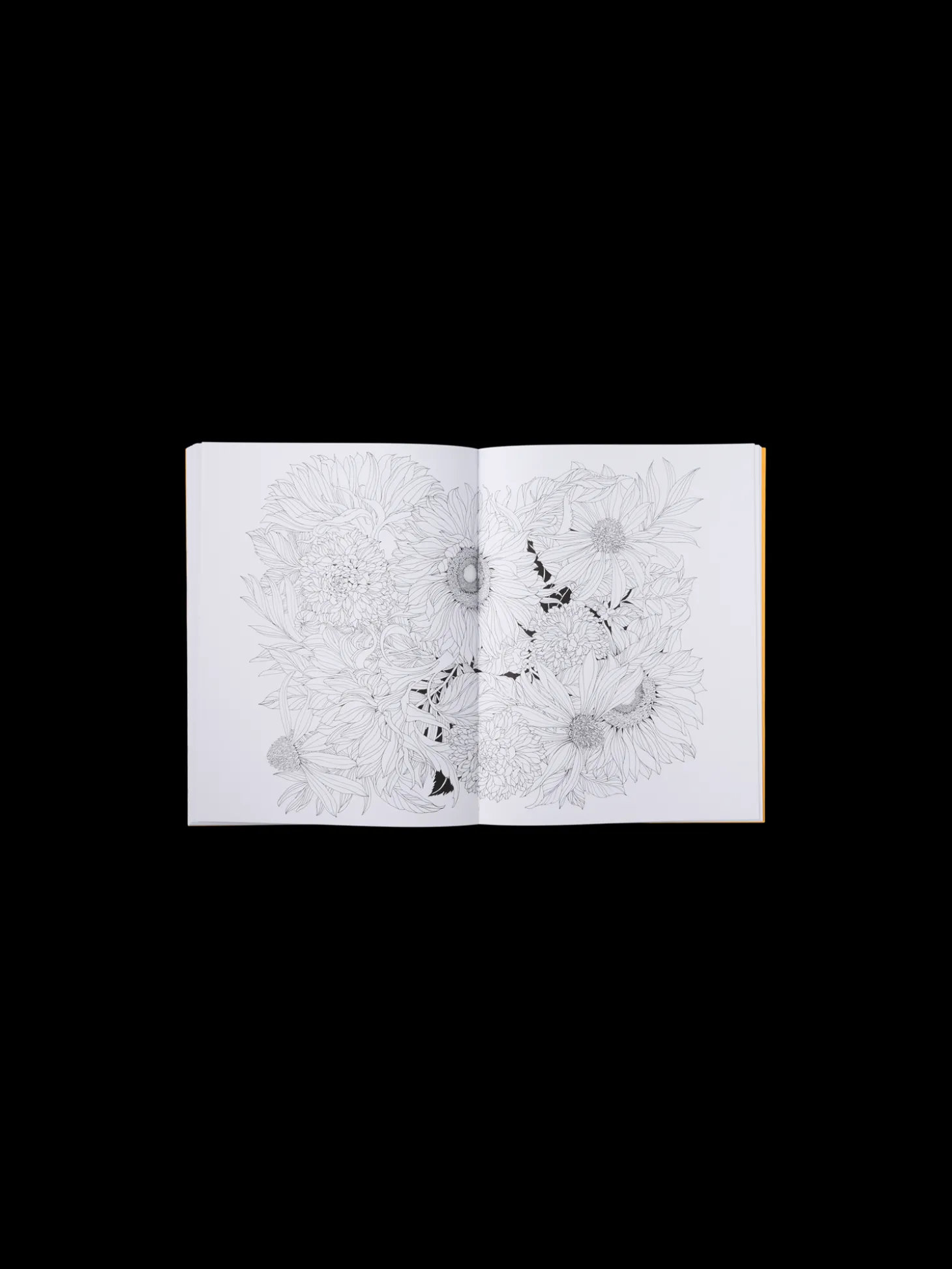 Beautiful Planet Colouring Book