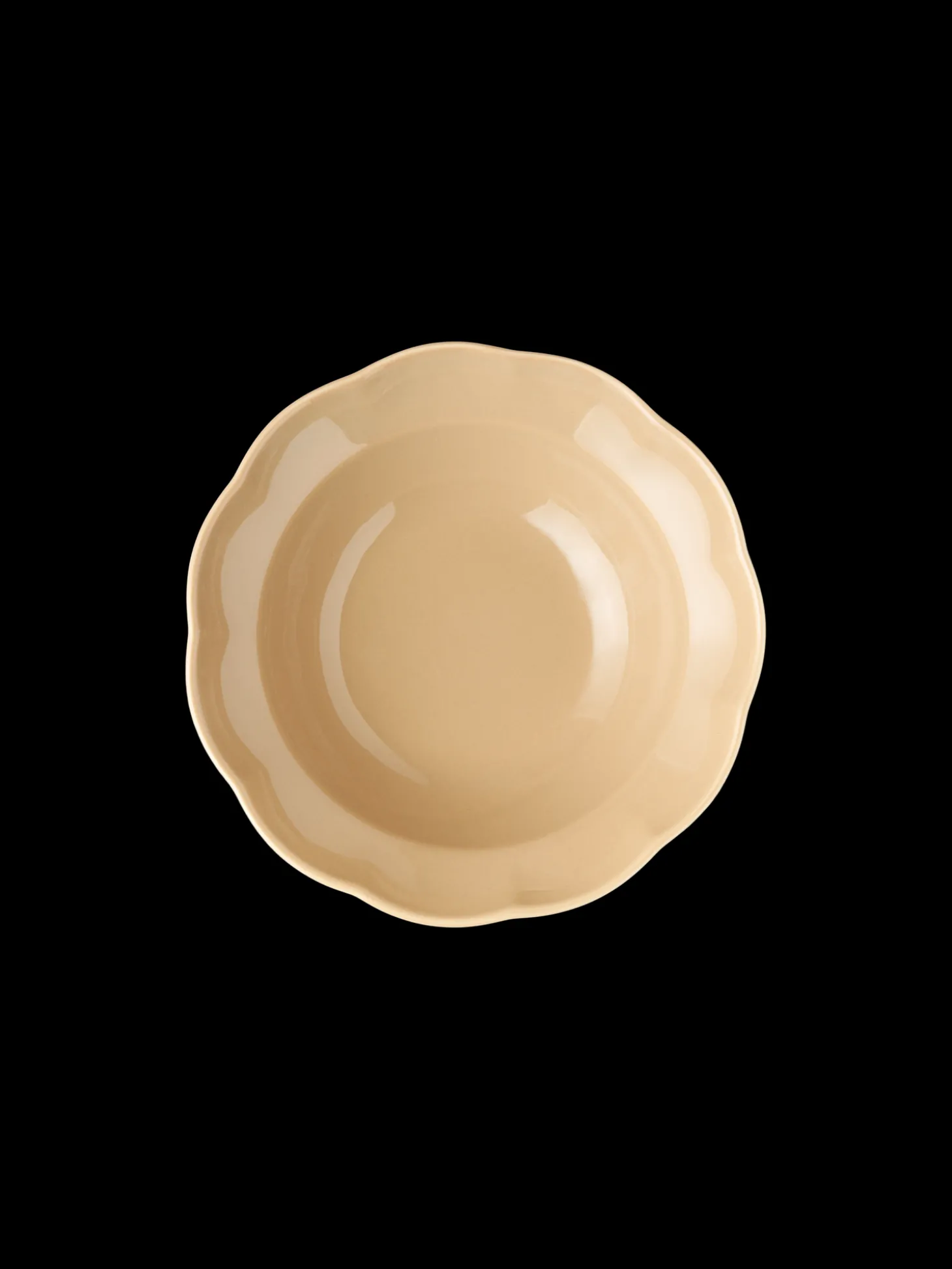 Bolle