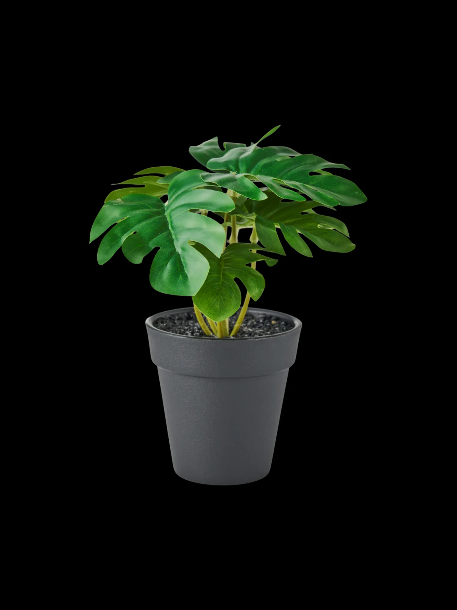 Kunstig Plante I Potte