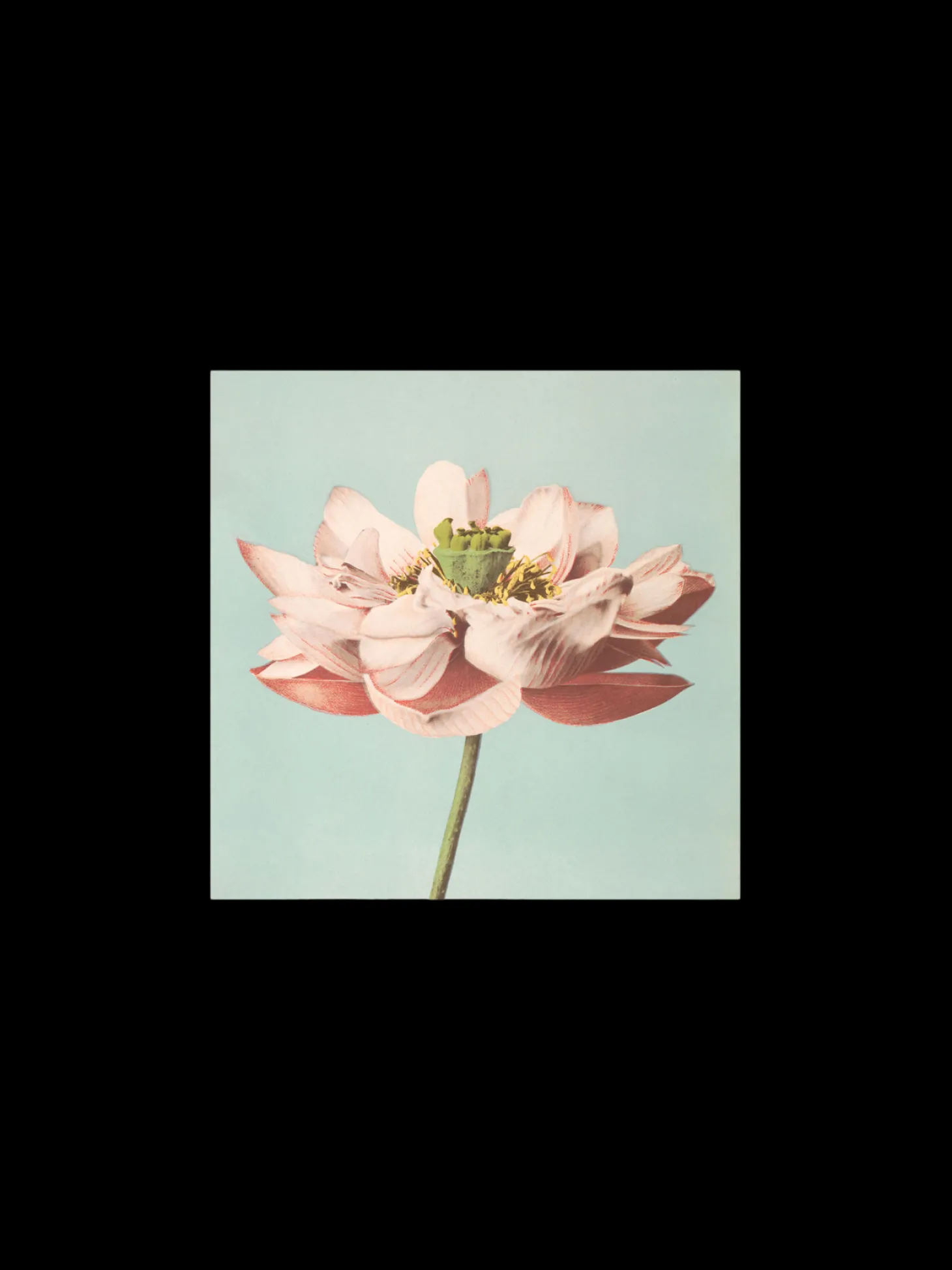 Plakat 24 X 24 Cm